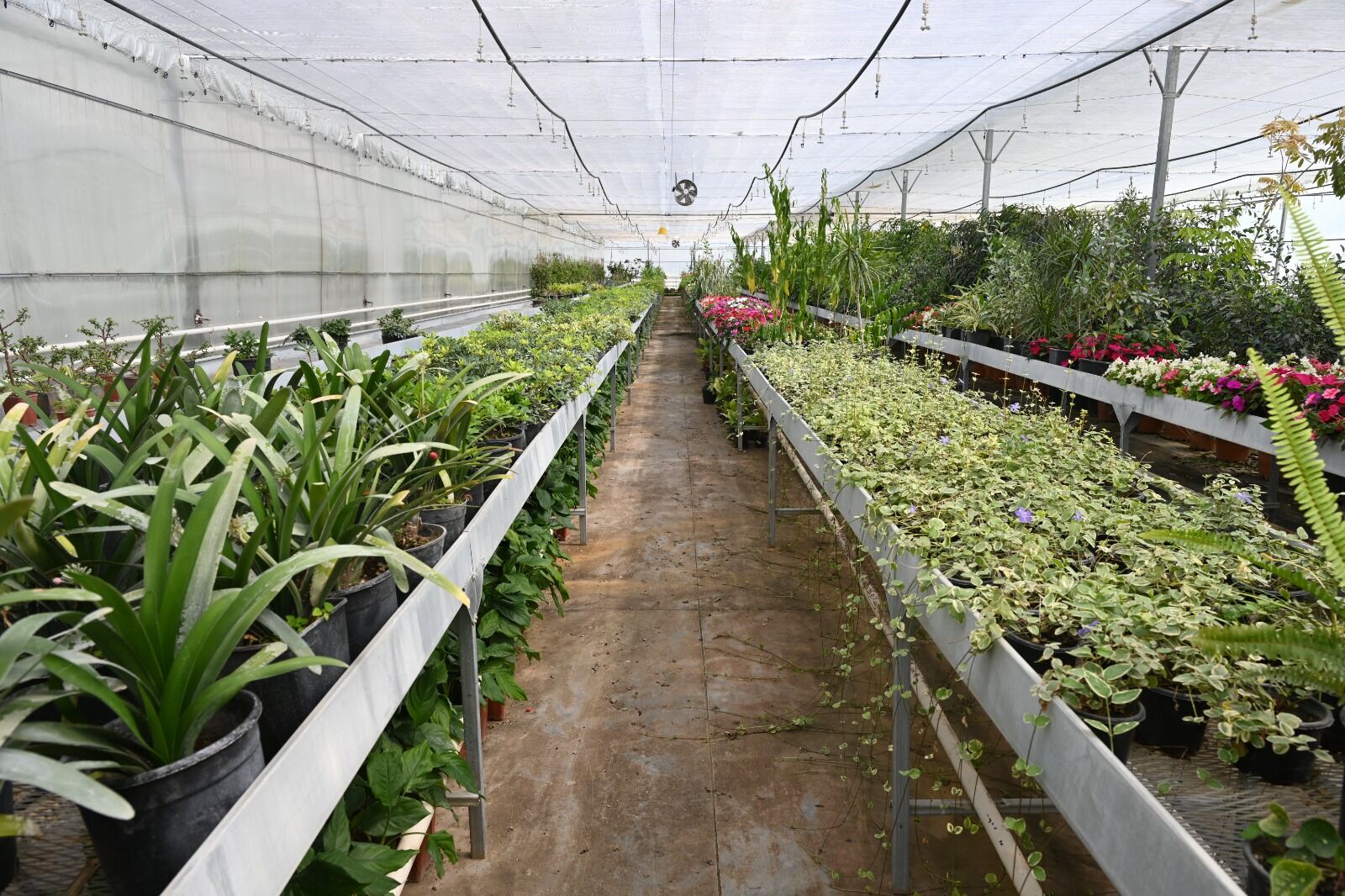 Whatsapp Image 2026 04 13 At 15.15.45