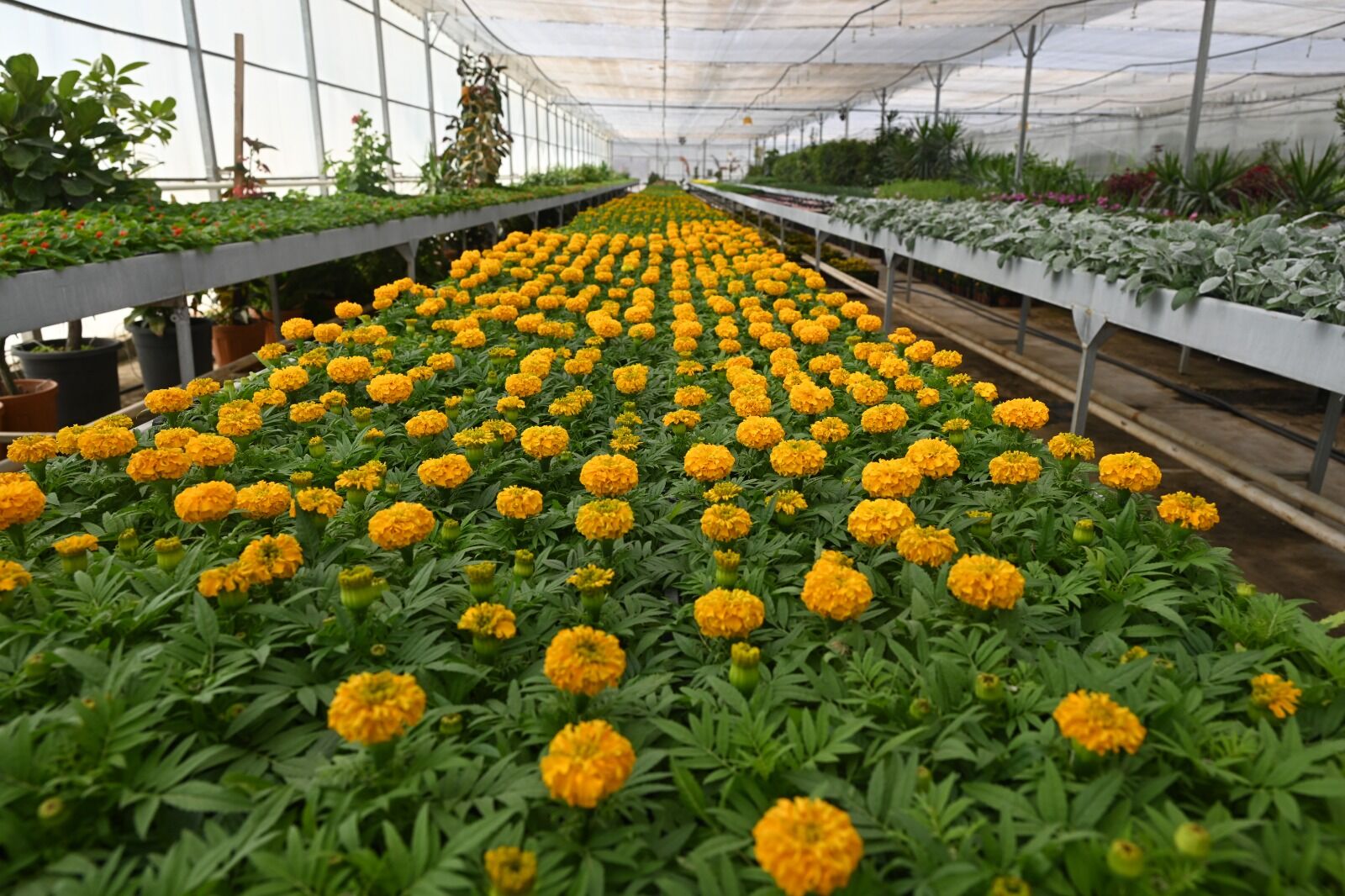 Whatsapp Image 2026 04 13 At 15.15.46 (1)