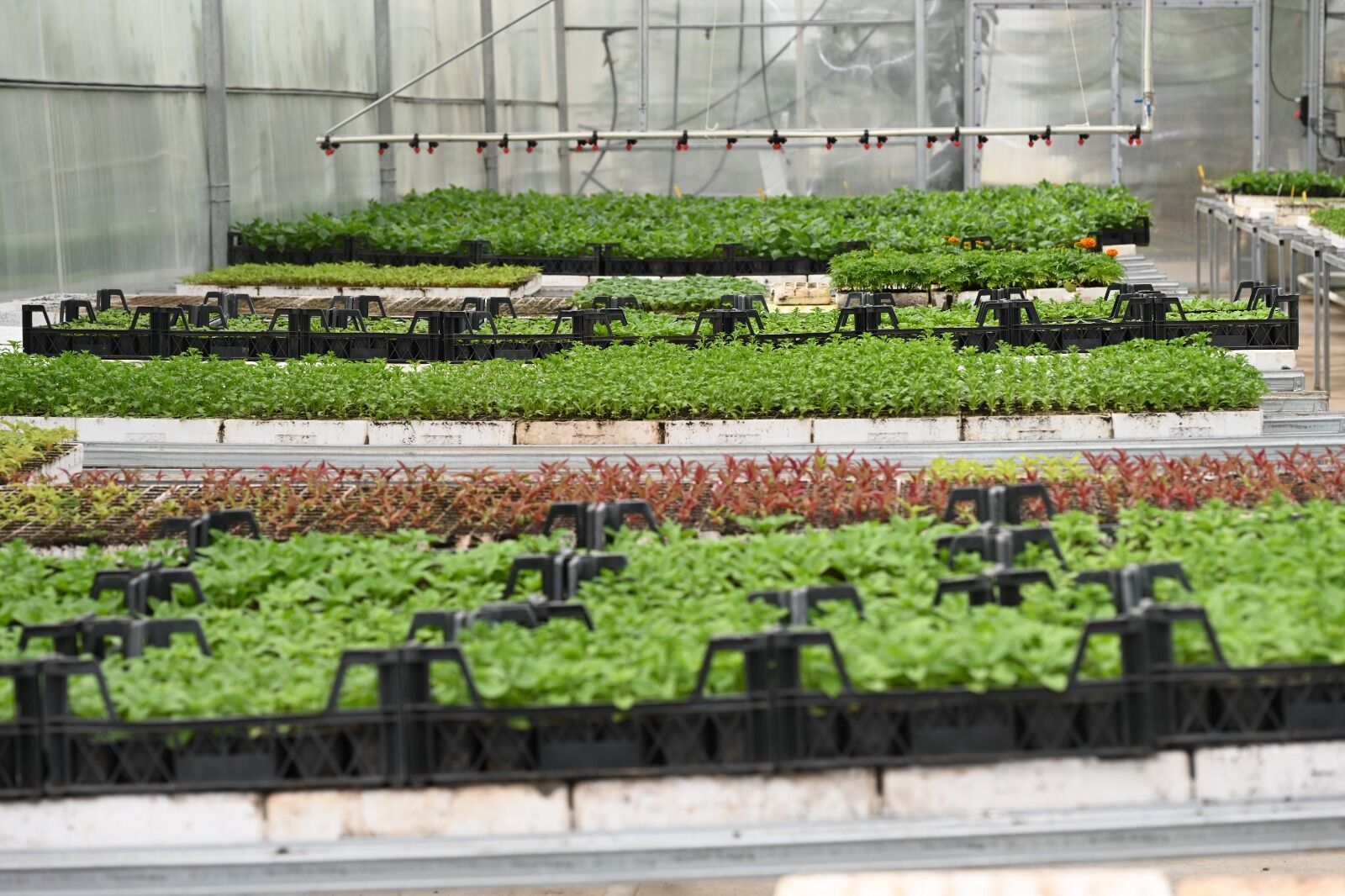 Whatsapp Image 2026 04 13 At 15.15.47 (1)