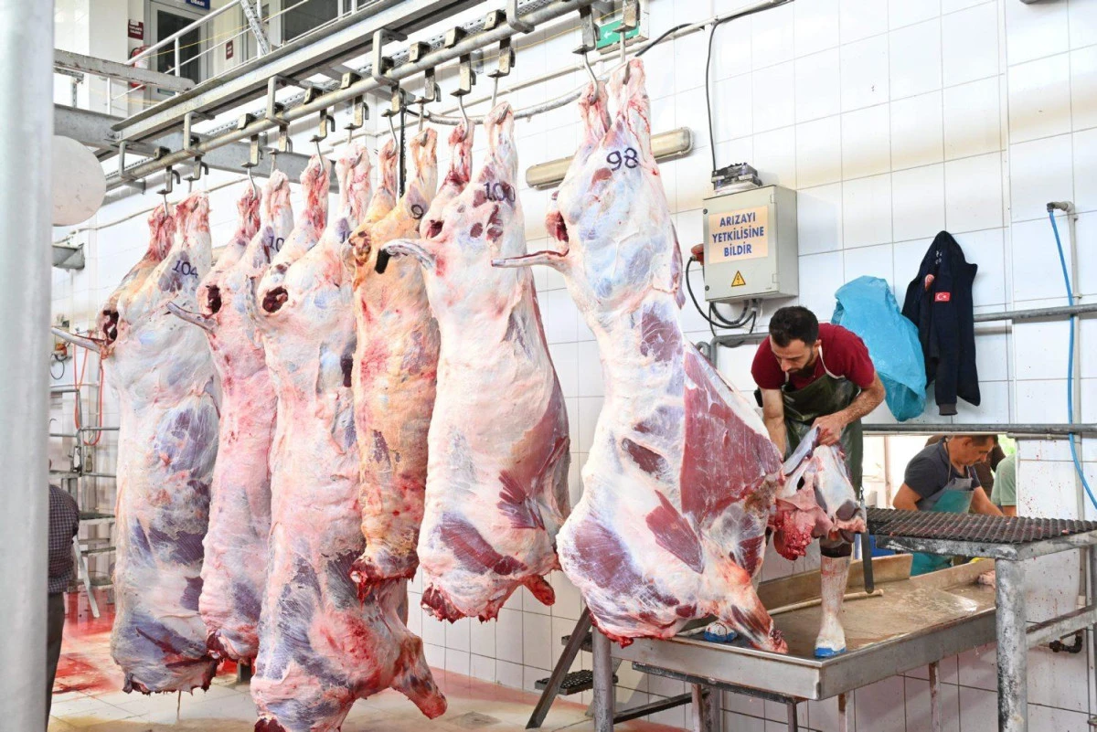 Mezbahada 250 Buyukbas Kurban Kesimi Gerceklestirildi 144440 20250608