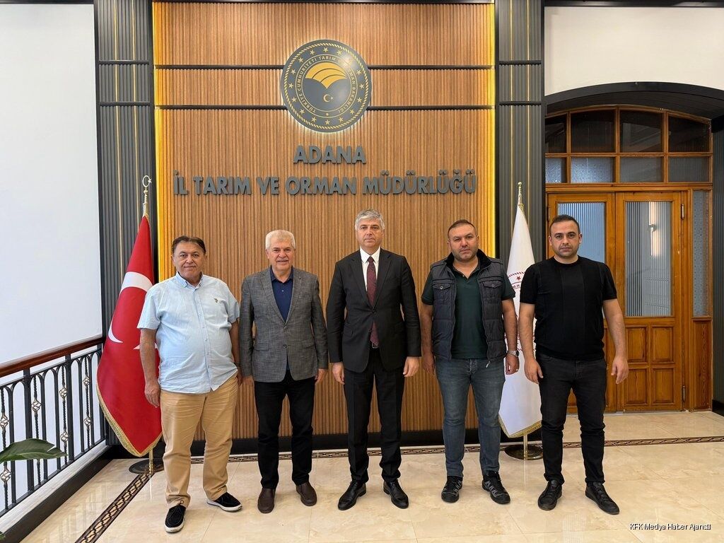 Yenilikçi Modeller İçin Önemli Adımlar (1)