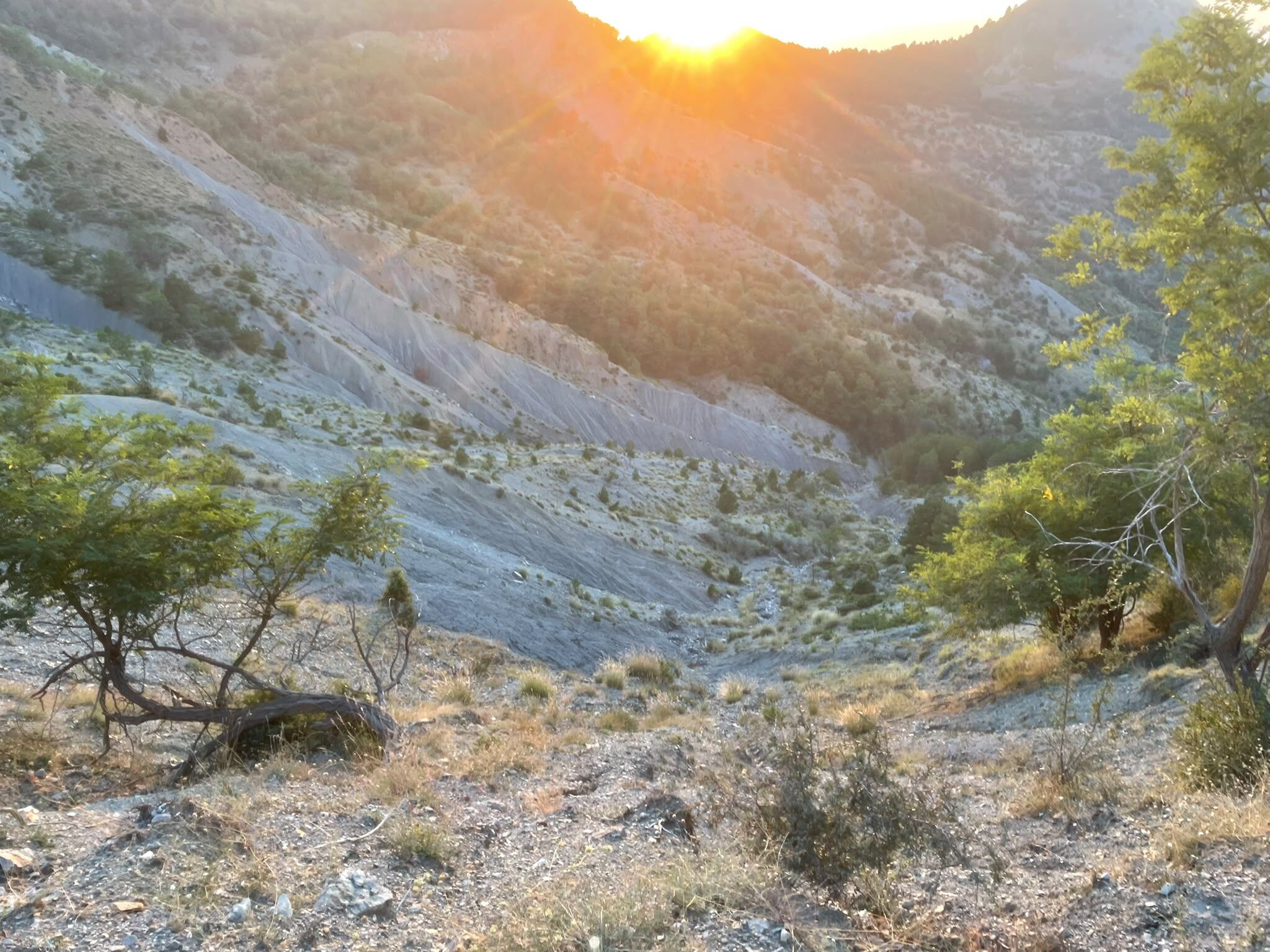 Karatepe’de Uçak Kazasının İzleri Hâlâ Duruyor (4)