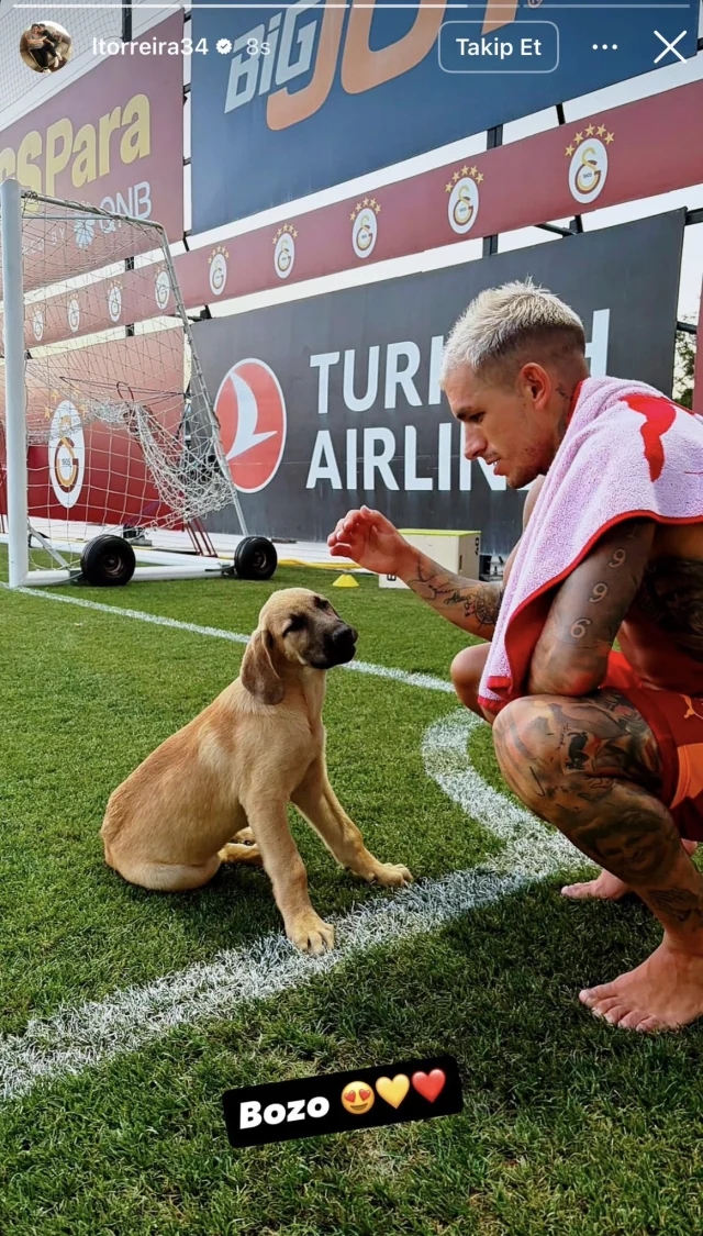 Köpeği̇ne Koyduğu İsme Bakin