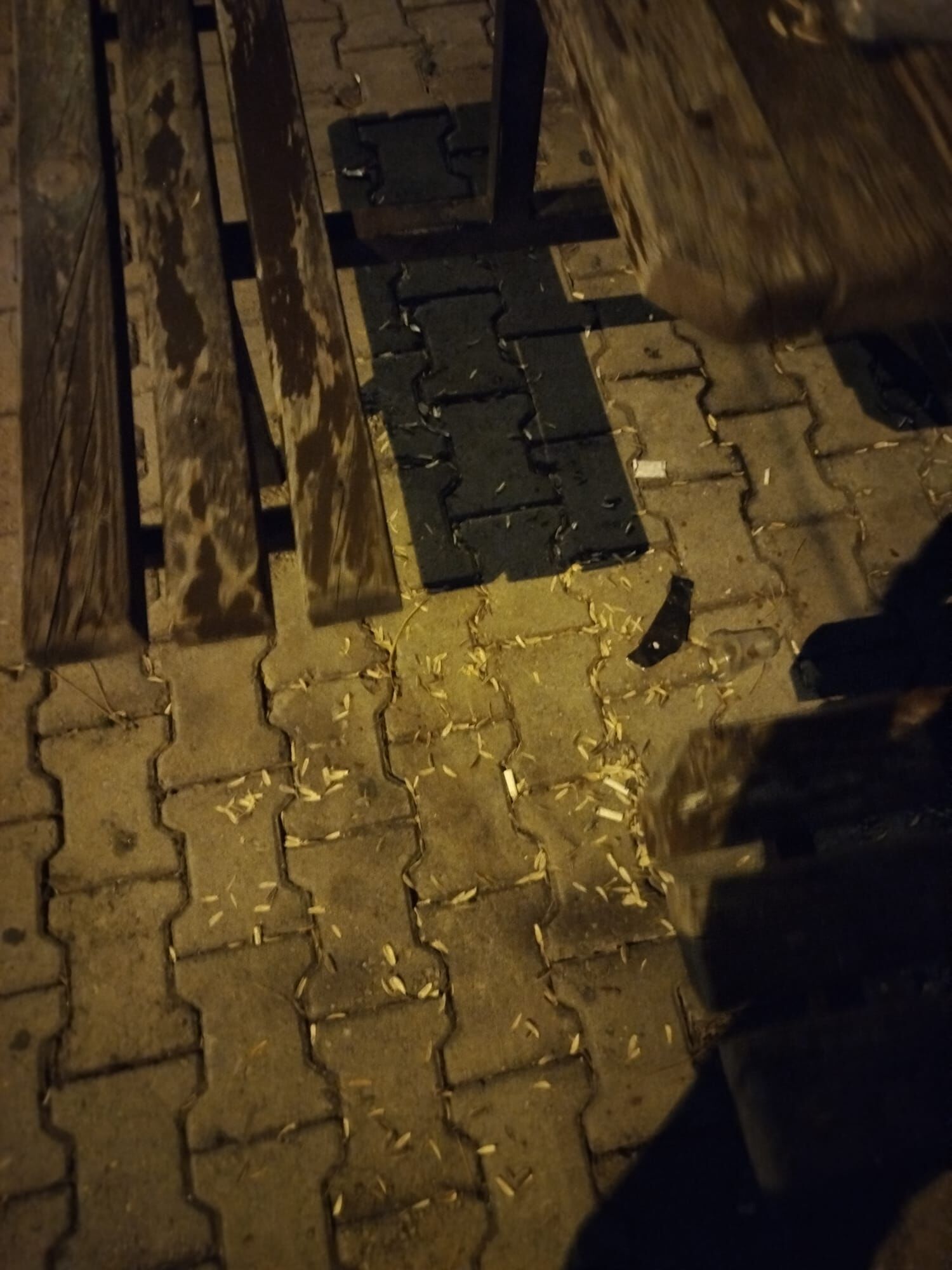 2 Ayaklı Canlılar 5 Adım Atamadı, (1)